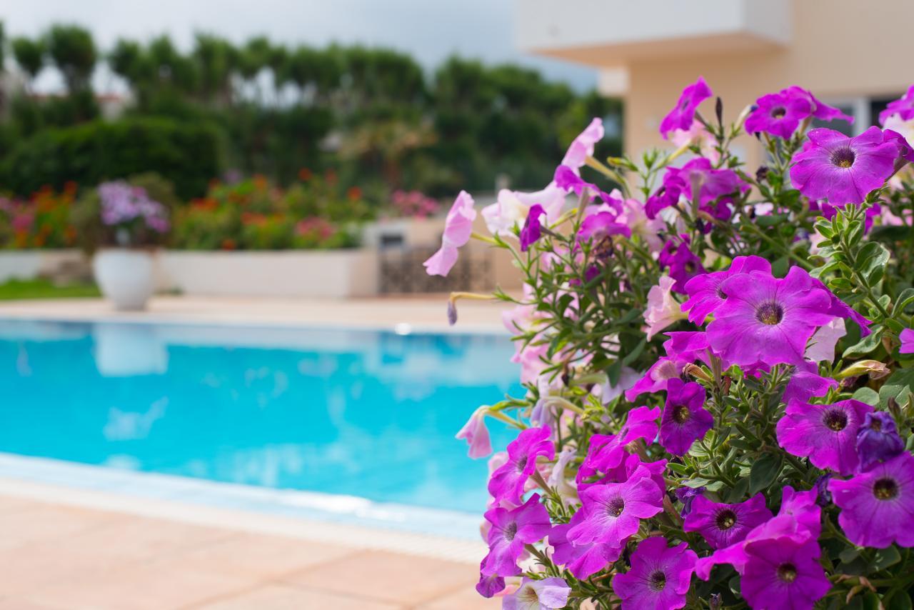 Silver Sun Studios & Apartments Malia  Exterior photo